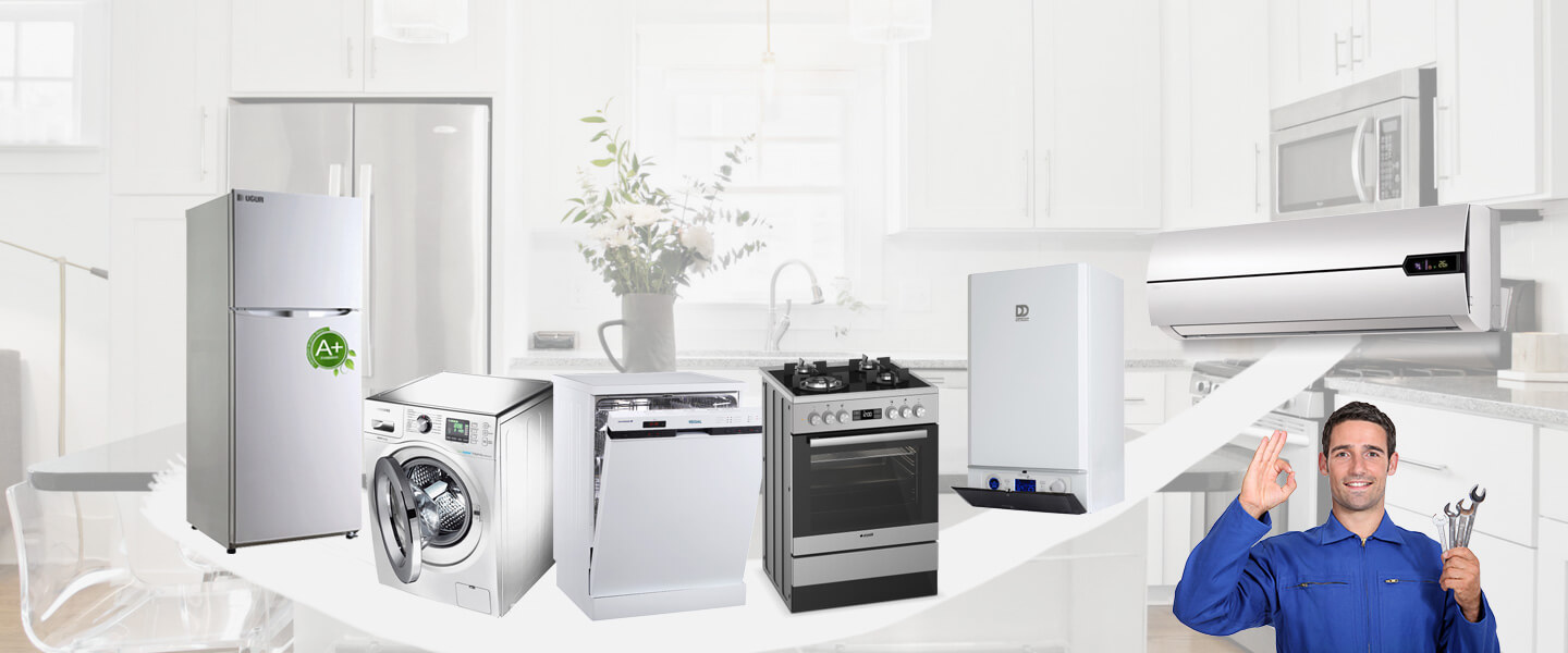 Bornova Grundig Servisi